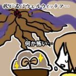 「私は一生のうちに葉っぱは2枚しか生やすつもりがない」っていう植物_挿絵1