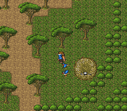 ロマンシング サ・ガ2のプレイ日記14：レトロゲーム(スーファミ)_挿絵14