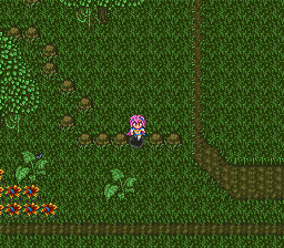 ロマンシング サ・ガ2のプレイ日記28：レトロゲーム(スーファミ)_挿絵18