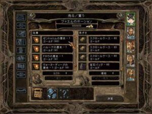 あなたの名前が分かりません！：Baldur's Gate 2#176_挿絵4