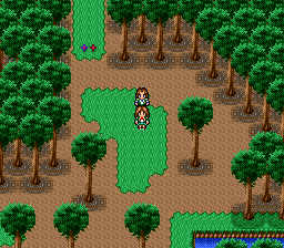 蓬莱学園の冒険！転校生スクランブルのプレイ日記9：レトロゲーム(スーファミ)_挿絵17