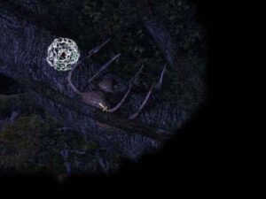 長年の因縁に終止符を打つ:Baldur's Gate 2#293_挿絵7