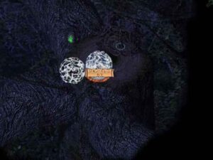 長年の因縁に終止符を打つ:Baldur's Gate 2#293_挿絵8